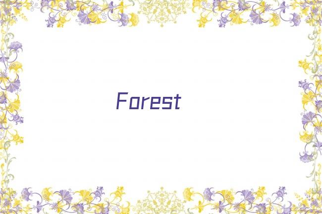 Forest剧照